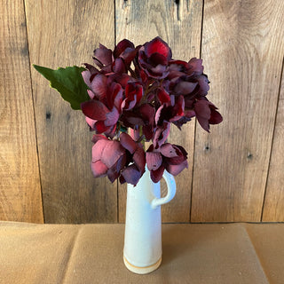 Burgundy Hydrangea