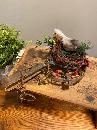Bird Nest Trap