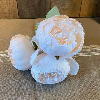 Pale Peach Peonies