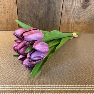 Plum Tulips
