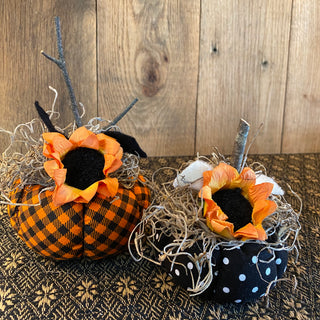 Pumpkin Set #1