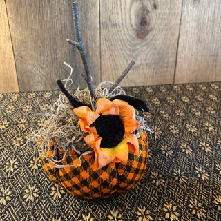 Pumpkin Set #1