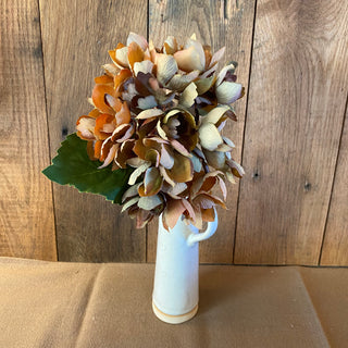 Yellow Hydrangea